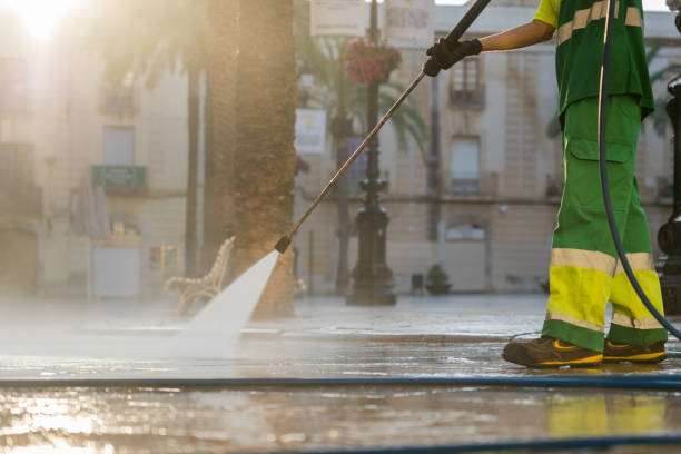 Best Sidewalk and Walkway Cleaning  in Stlman Valley, IL